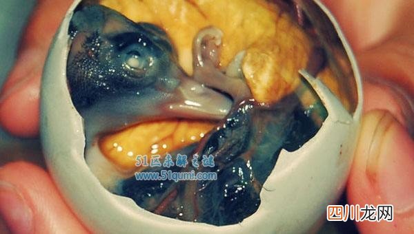 全球最恶心最奇葩的十大食物 重口味食品你敢吃几种?