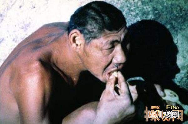 中国最可怕的原始森林，神农架或藏有野人和史前怪物