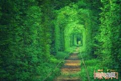 世界上最浪漫的隧道，乌克兰爱的隧道是受爱神青睐的情侣之地