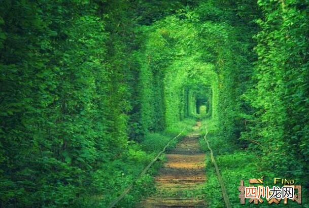 世界上最浪漫的隧道，乌克兰爱的隧道是受爱神青睐的情侣之地