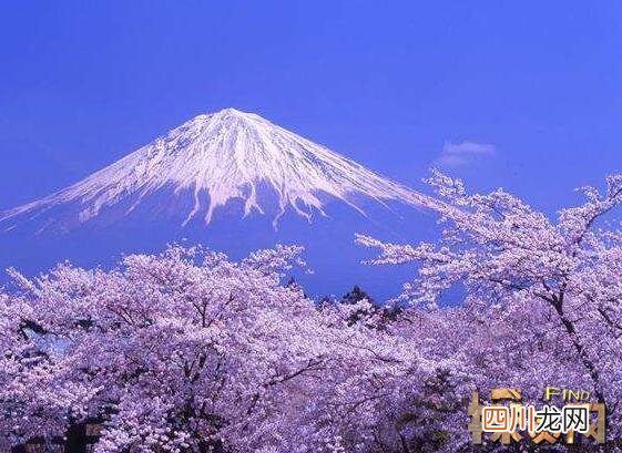 世界上最美的山，新西兰瑙鲁赫伊山犹如魔戒中的末日火山