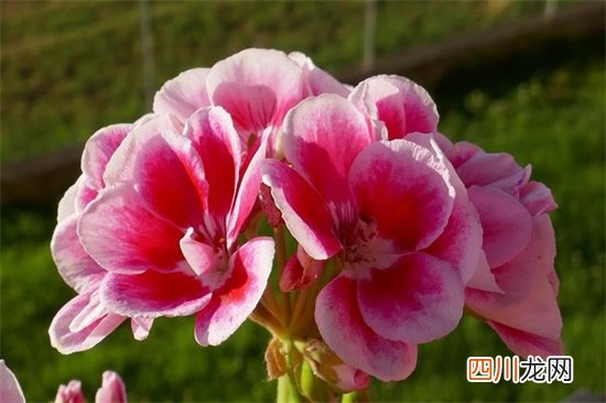 姓武的英俊的男孩名字 姓武有什么好听的男孩名字
