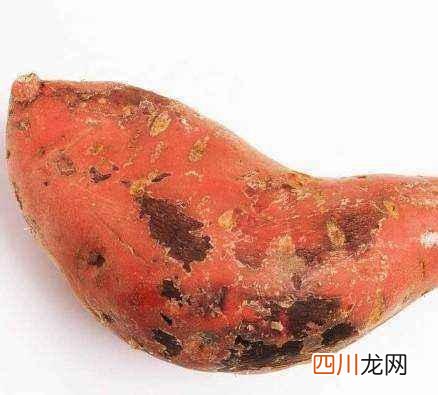 发芽的红薯还能不能吃？ 红薯发芽了还能吃吗