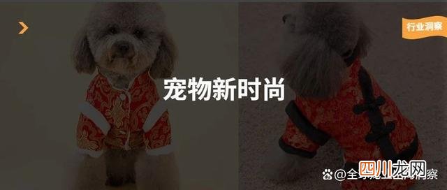 宠物服装市场前景 宠物服装