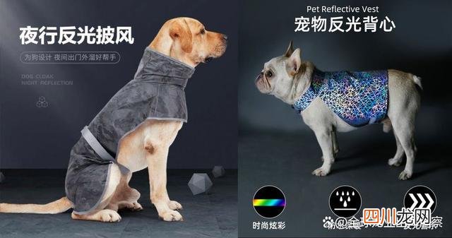 宠物服装市场前景 宠物服装