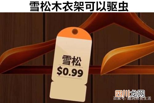 百度搜索的几个实用功能,你是否知晓 还不知道这个干嘛用的?快来百度搜索一下