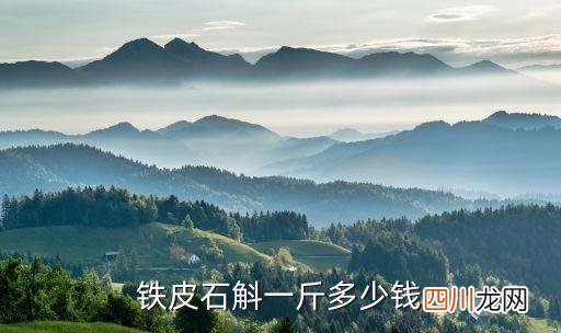 野生铁皮石斛多少钱1斤 野生新鲜石斛多少钱一斤