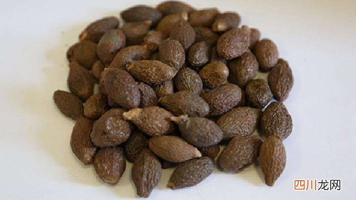 游泳减肥燃脂效果好吗 游泳减肥要注意3个事项