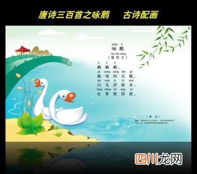 深入解读骆宾王的五言古诗咏鹅 咏鹅