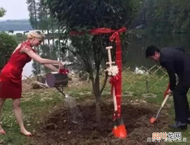 撒贝宁一语成谶，三年前预言成真 撒贝宁预言成功
