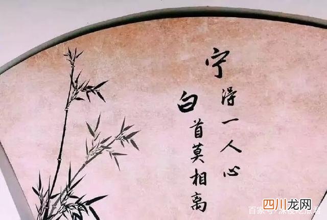 撒贝宁一语成谶，三年前预言成真 撒贝宁预言成功