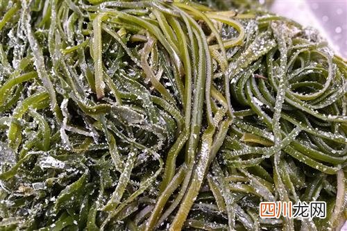 海带的营养价值 海带的功效与作用