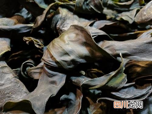 海带的营养价值 海带的功效与作用