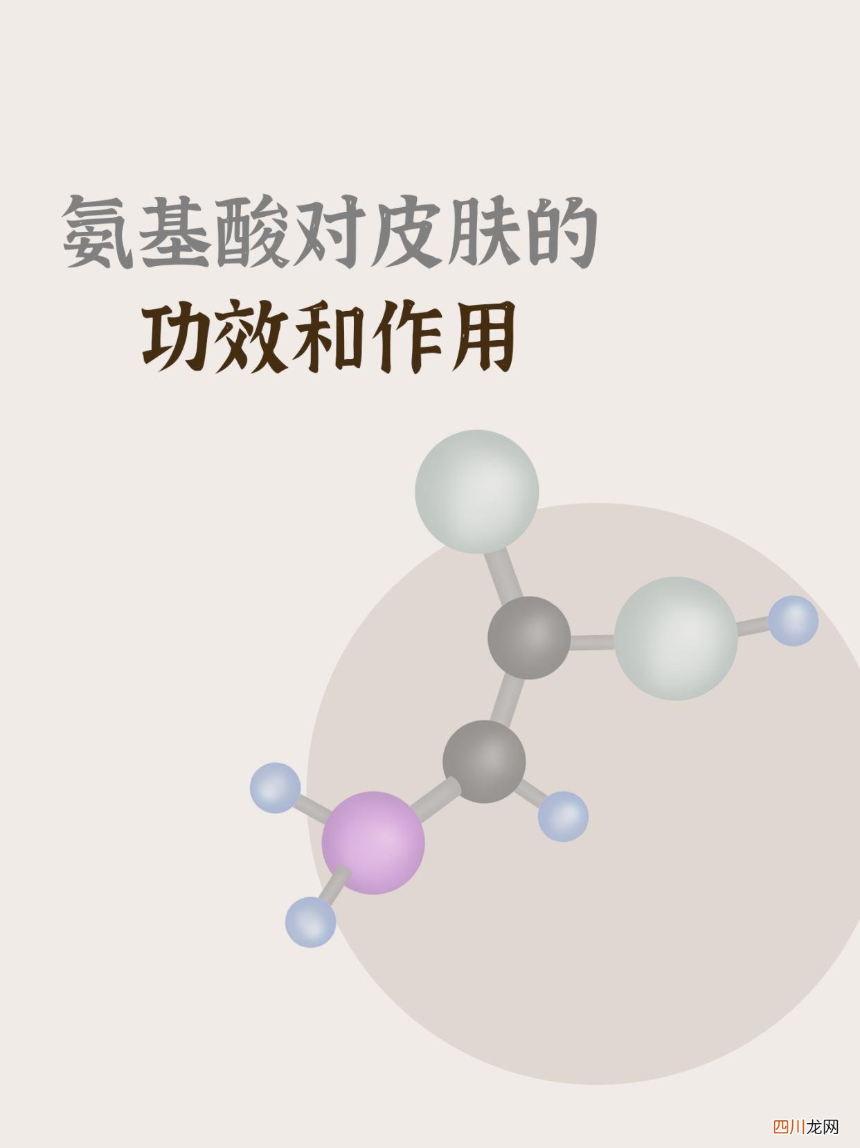 氨基酸到底是什么？ 氨基酸的功效与作用