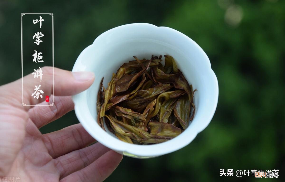 岩茶有哪些品种，如何选购 岩茶属于什么茶
