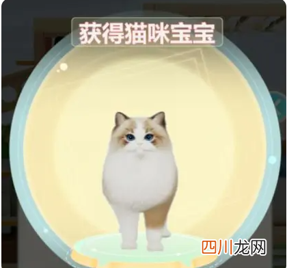 超喵星计划携爪怎么获得 超喵星计划携爪获取方式