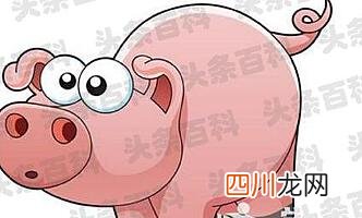 你身边有木有属猪的朋友呢 属猪的今年多大