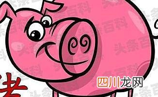 你身边有木有属猪的朋友呢 属猪的今年多大