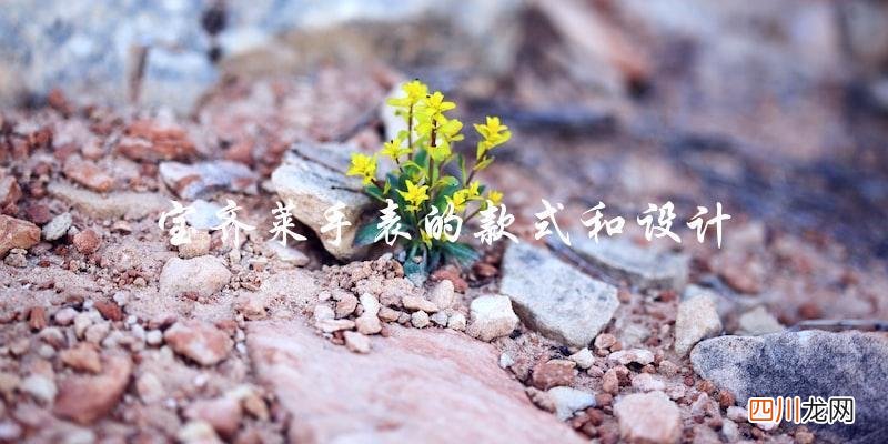 宝齐莱手表排名是哪一档次 宝齐莱是哪个国家的品牌
