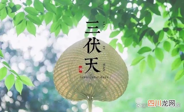 2023三伏时间表来了 入伏2023时间表 从哪一天开始算起