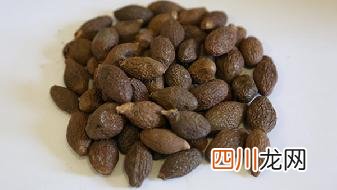 减肥掌握7个方法 坚持锻炼在卧室也能瘦下来