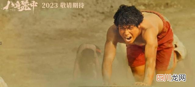 王宝强导演电影《八角笼中》票房破10亿  八角笼中票房
