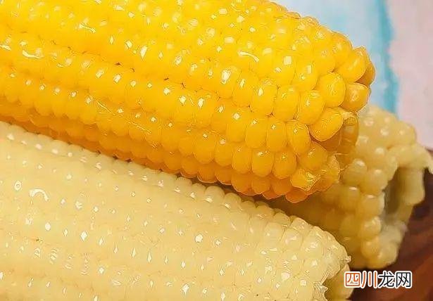 很多人分不清，难怪玉米口感差 煮玉米是冷水下锅还是热水下锅