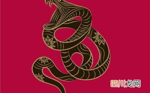 属蛇男人最佳妻子 属蛇男最佳婚配属相