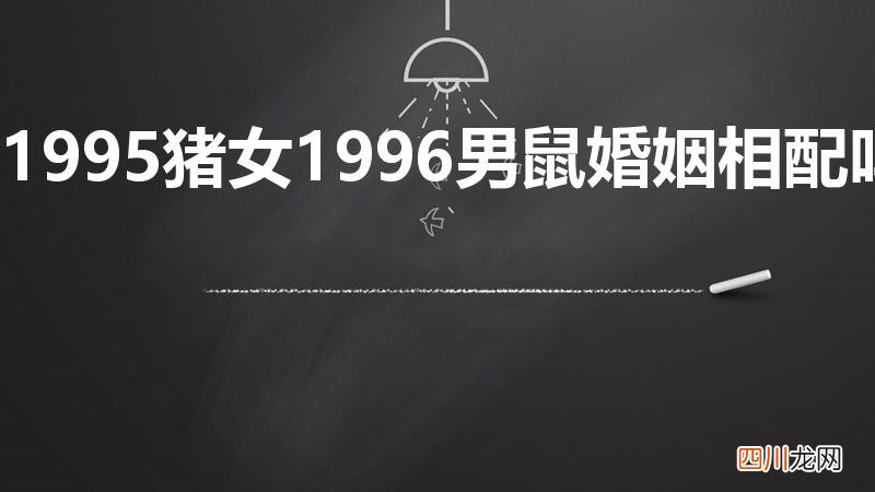 1995猪女1996男鼠婚姻相配吗