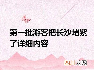 详细内容 第一批游客把长沙堵紫了
