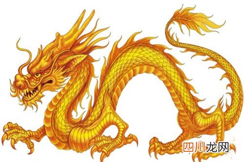 属龙的人的命理特点 龙年出生的年份