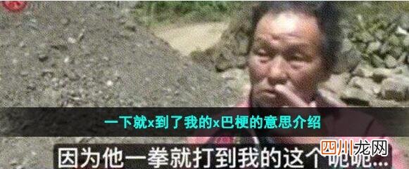 一下就x到了我的x巴梗的来源及出处