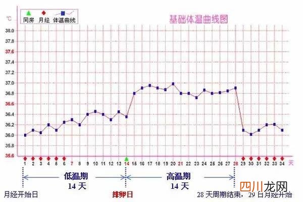 排卵期怎么算的？ 排卵期怎么算才最准确