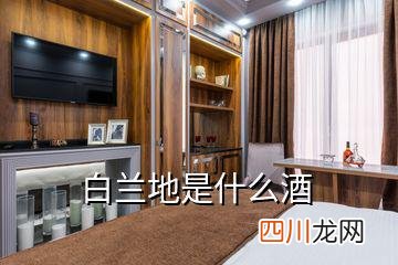 白兰地属于一种高度酒精的蒸馏酒 白兰地是属于什么酒