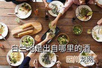 白兰地属于一种高度酒精的蒸馏酒 白兰地是属于什么酒