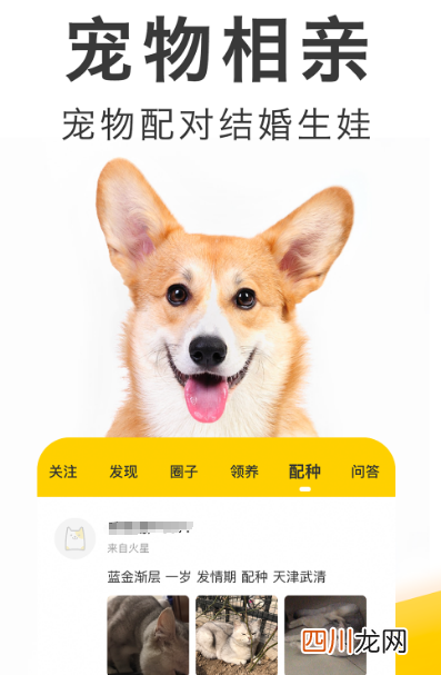猫咪软件推荐哪些 适合饲养猫咪的app大全