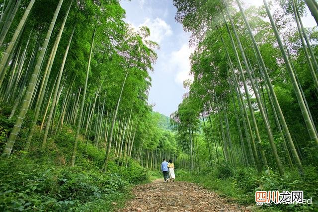 有哪些低调却好看的必去景点 旅游必去的景点