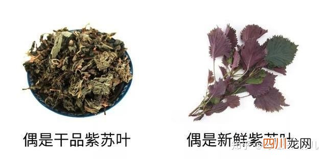 有什么好办法能治愈咳嗽 咳嗽怎么治最快最有效