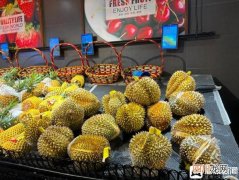 “水果之王”跌下神坛 榴莲价格暴跌