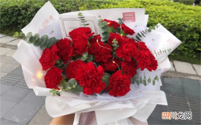康乃馨百合花图片及有关信息 康乃馨百合花图片及简介