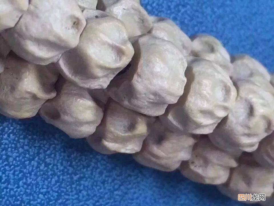 百香籽是什么文玩？百香籽怎么盘玩？【百香籽】