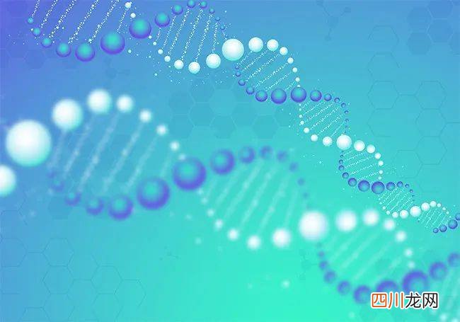 流式细胞仪检测细胞增殖：细胞增殖检测的三种方法