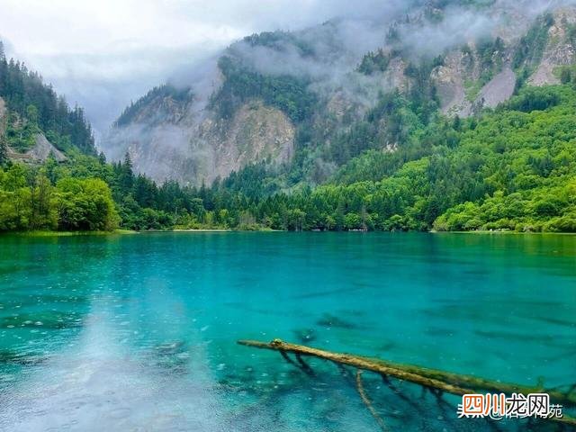 九寨沟7日游自由行攻略及费用 九寨沟旅游攻略及费用多少
