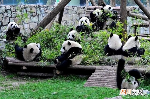 九寨沟7日游自由行攻略及费用 九寨沟旅游攻略及费用多少