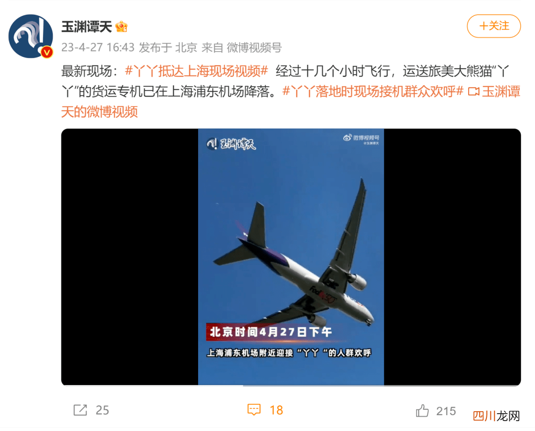 迎接“丫丫”的人群欢呼 丫丫专机已降落上海