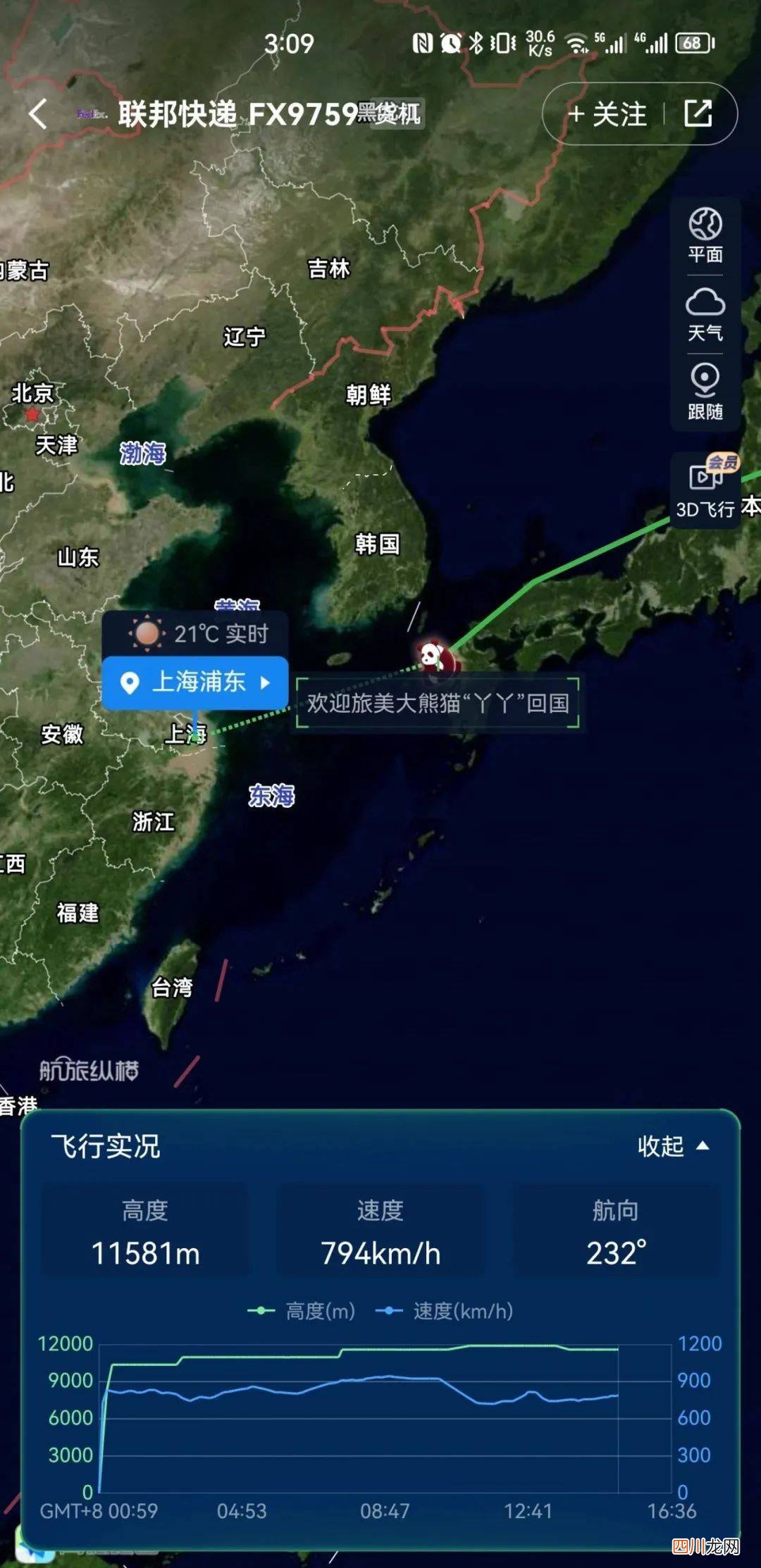 迎接“丫丫”的人群欢呼 丫丫专机已降落上海