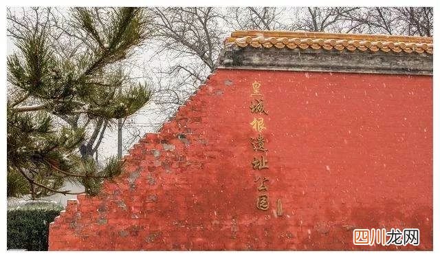 冬至吃什么 冬至吃什么食物
