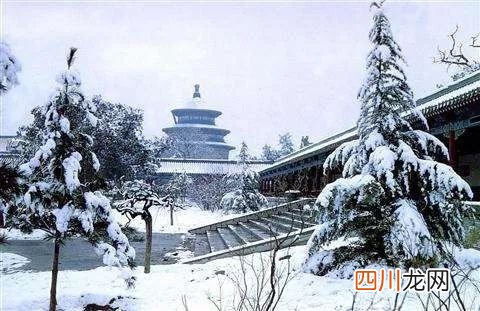 冬至吃什么 冬至吃什么食物
