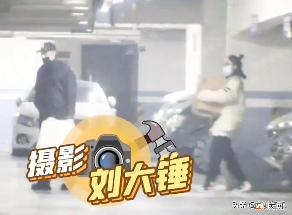 王鹤棣的个人资料简介 王鹤棣