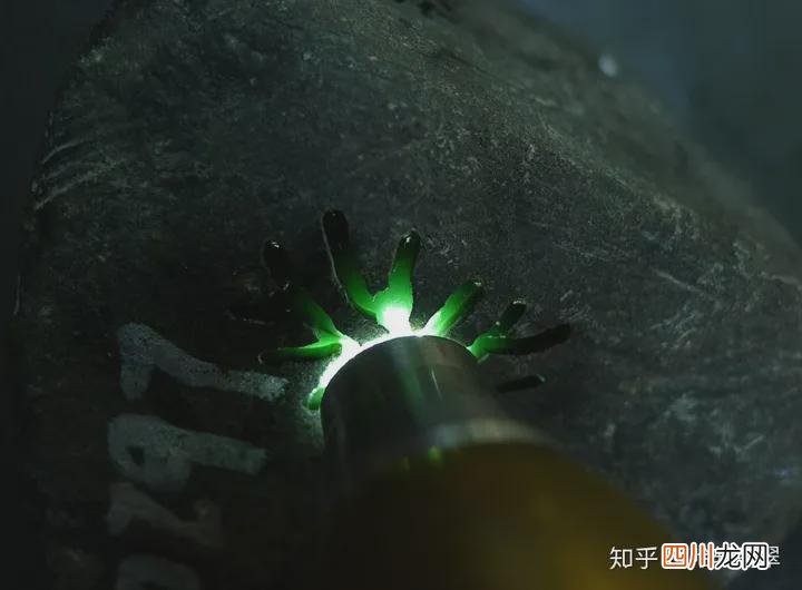 黑缅甸翡翠原石 缅甸黑皮翡翠原石